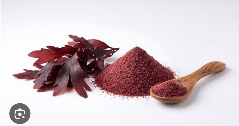 Palmaria Palmata Extract